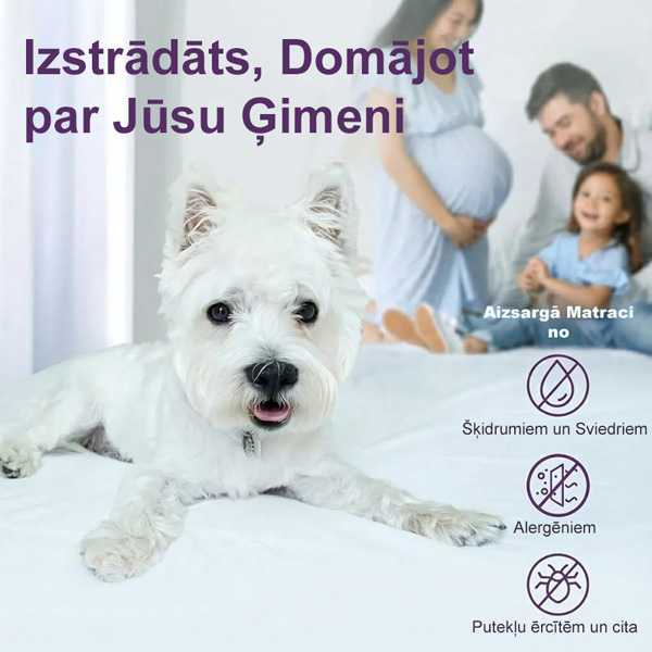 CLOUDREAM-3831127613059-LV-5__311225